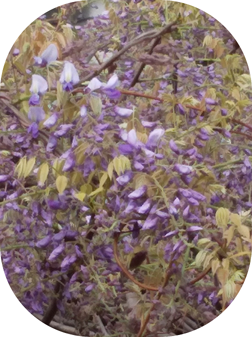 LYgMx2uHKfqx2qt1587259222_1587259249.png