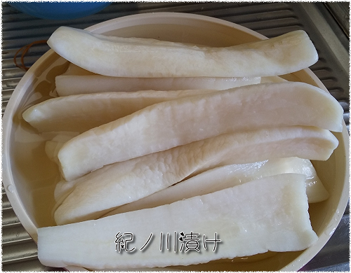 QV9pZ5AqrEUQZin1606798518_1606798801.png
