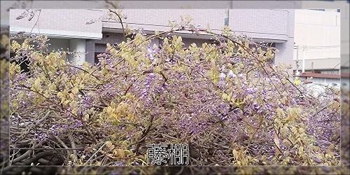 bkMEWPGkM7lzWOo1587259153_1587259193.jpg